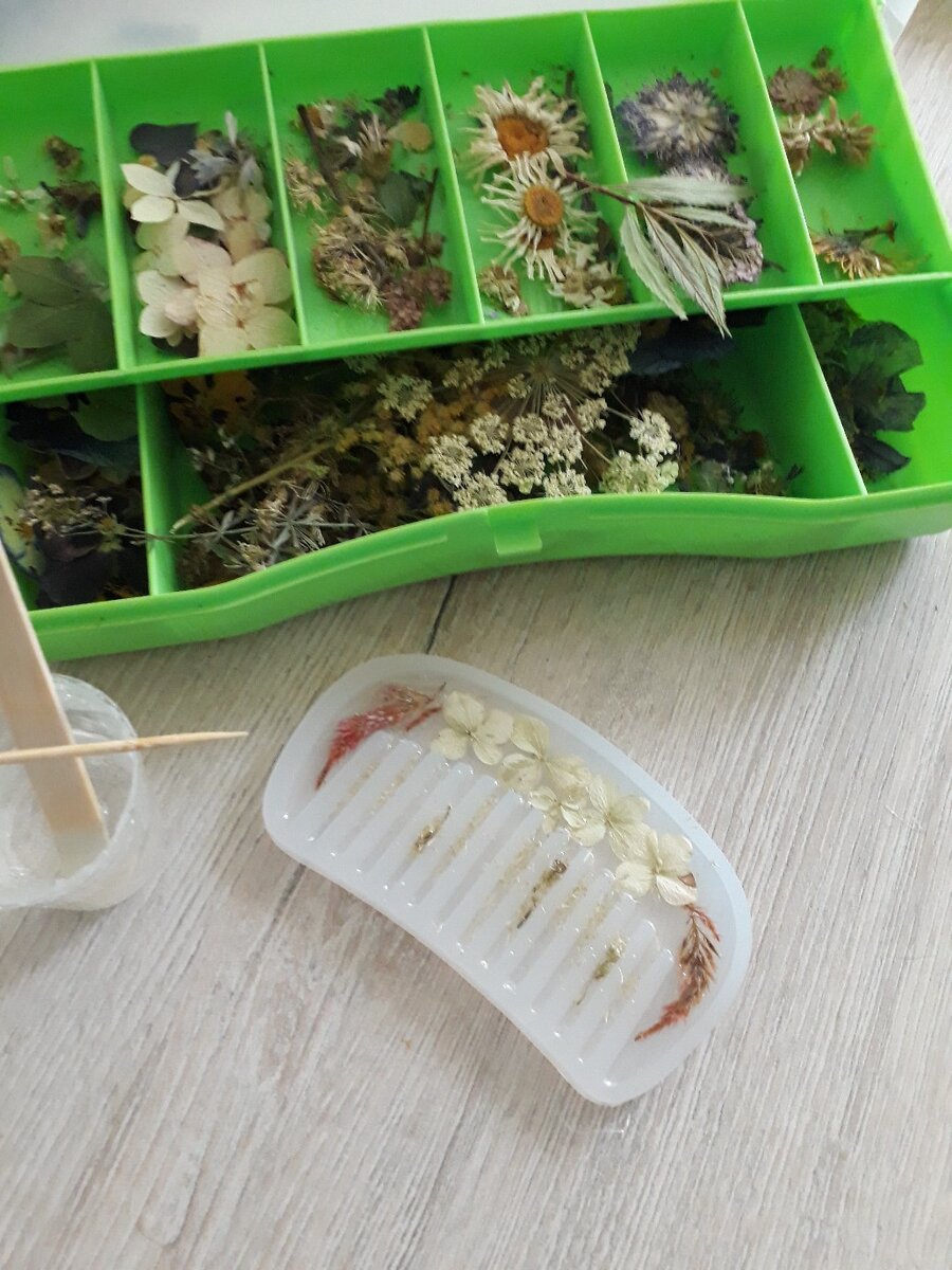 Вот так я храню сухоцветы