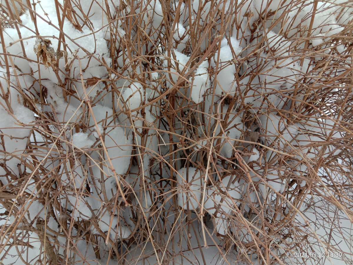 Фото автора канала