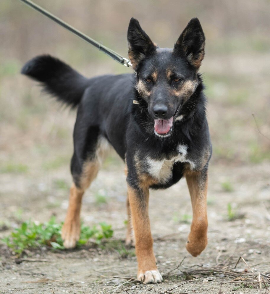 У Дуни было непростое детство, она могла погибнуть, но ей повезло.