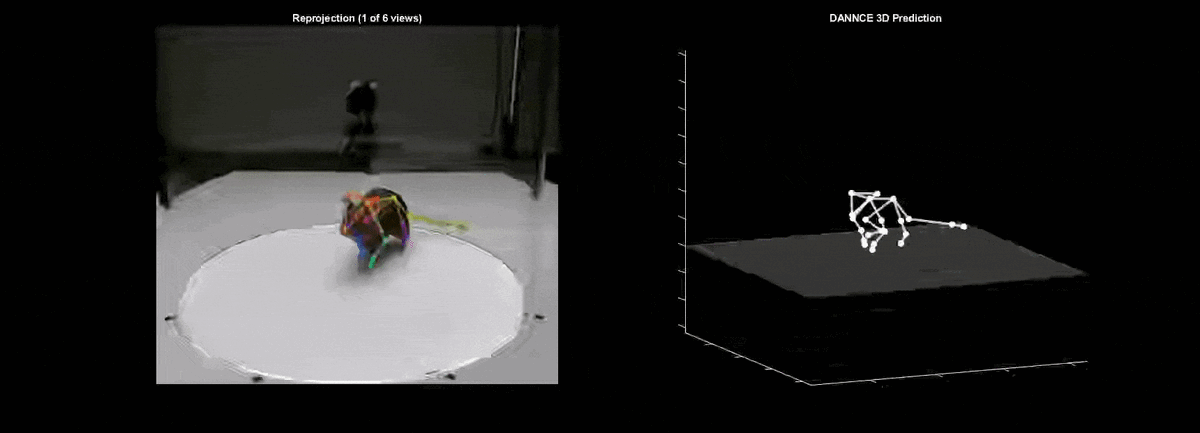 Детектирования движений мыши