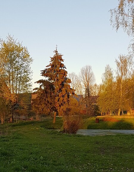 Наш луг между двумя улицами