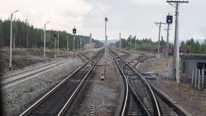 Фото правительства РФ