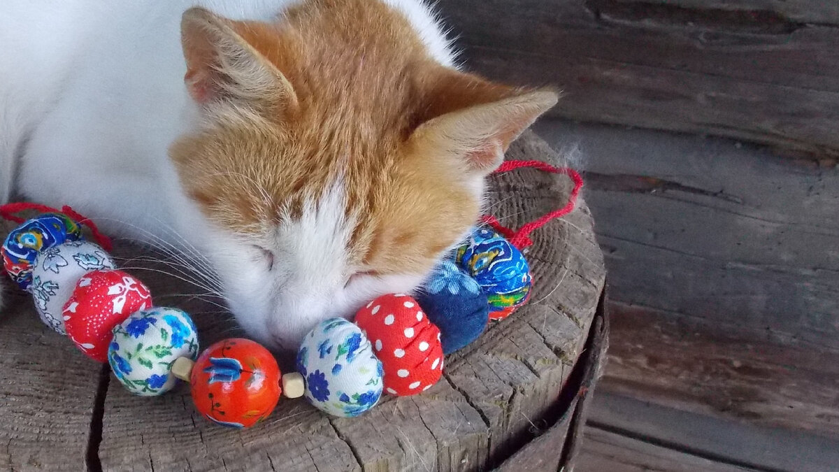 Музей деревянного зодчества "Костромская слобода"