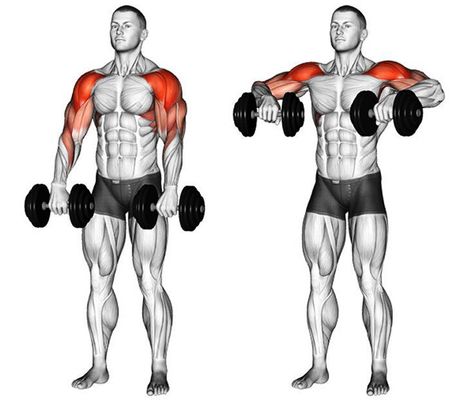 упражнения на плечи в тренажерном зале для мужчин на массу. план тренировок в тренажерном зале в схеме. суперсет на спину для мужчин в тренажерном зале. основные упражнения для набора мышечной массы. мышечной массы базовые упражнения.