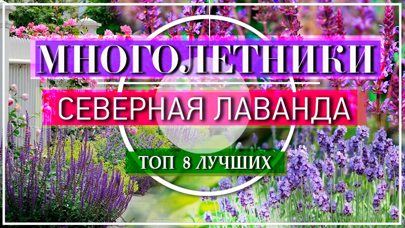 Видео на эту тему можете посмотреть в конце статьи
