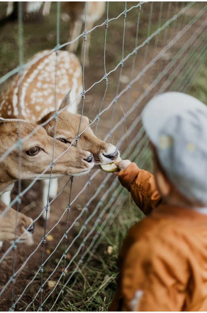 Фотография взята с сайта Unsplash