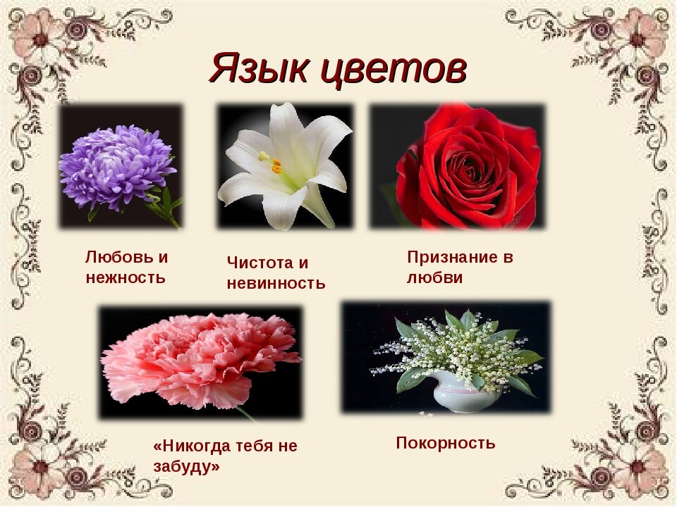 Какие цветы дарят мужчинам на день рождения?