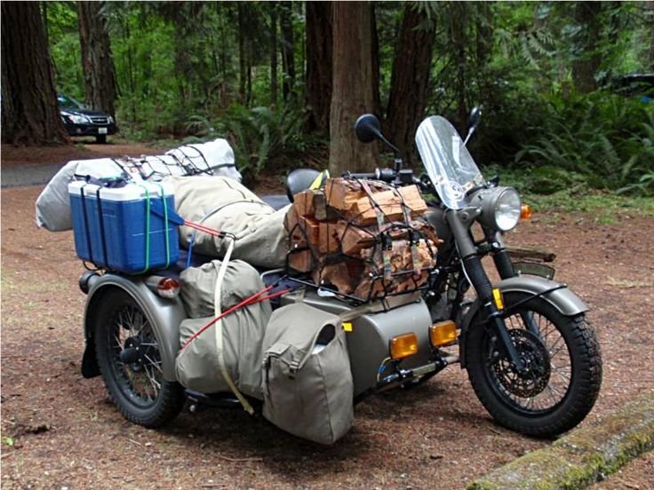 едем на пикник. современное фото