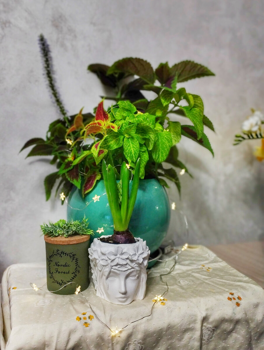 На переднем плане кашпо и свеча- тоже подарки на мой день рождения. Такое я  люблю))) Но такого уже очень много в доме....