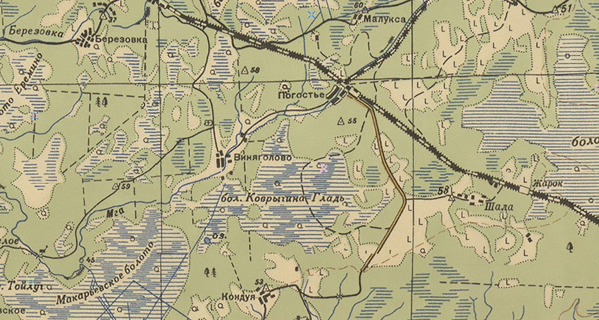 Карта района Погостья. Фото из открытых источников.