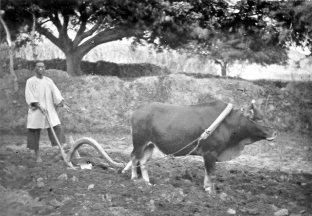 Источник: blogger.googleusercontent.com