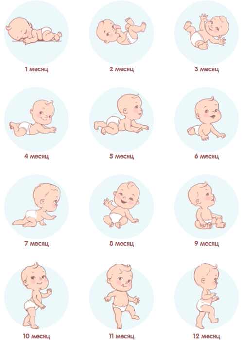 Двигательное развитие ребенка от 0 до 6 месяцев