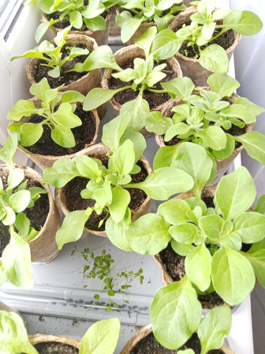 Фото личное