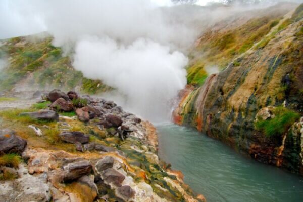    Фото: сайт Кроноцкого заповедника