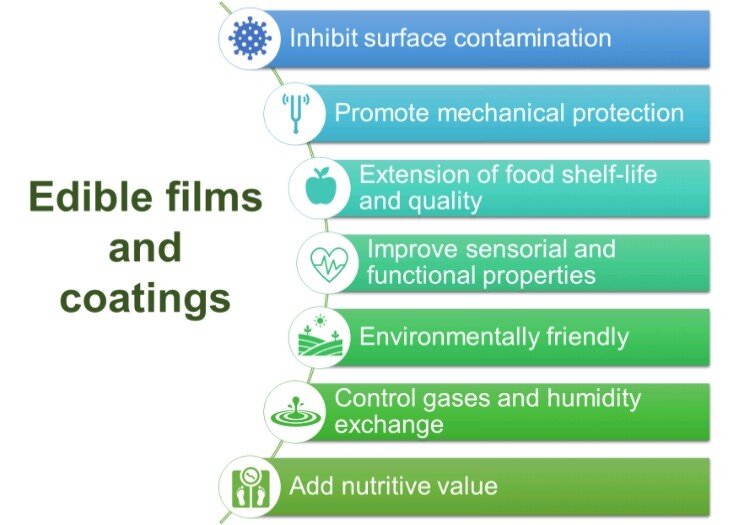 10.3390/polysaccharides3010002