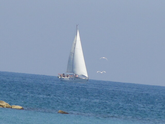 личный архив.