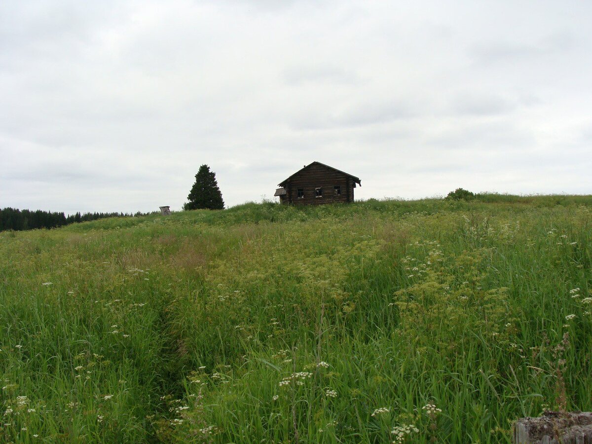 Единственное сохранившиеся здание в деревне Василево. Фото из альбома группы ВК "Тинева - всегда в наших сердцах"; https://vk.com/photo-15007113_266069236