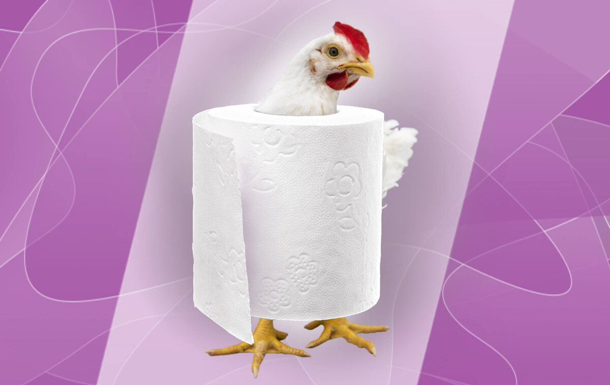 Спасаем квочек и цыплят от проблем с кишечником