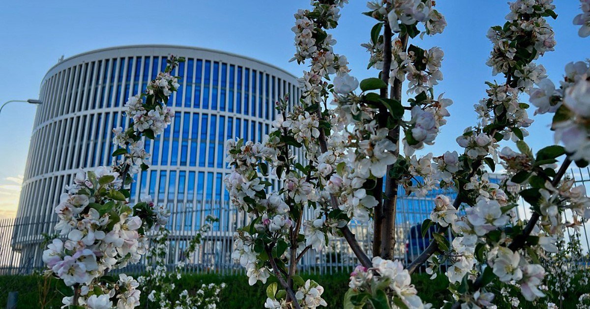 Префектура ТиНАО