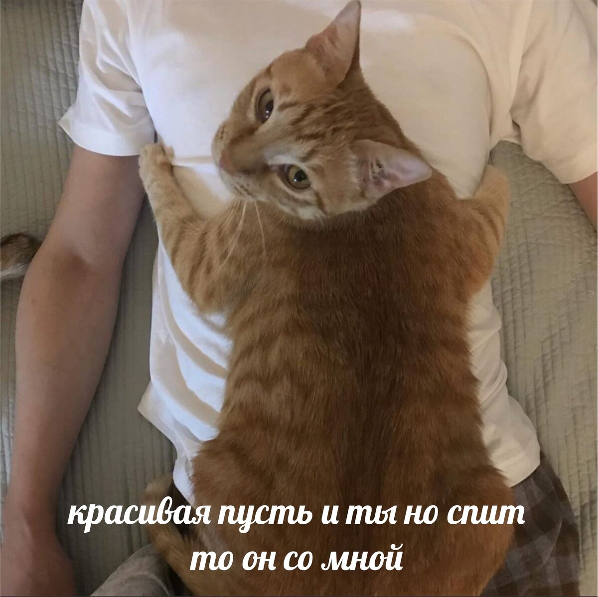 Теперь он мой 5. Теперь он мой 5. Теперь он мой 5. Только мой картинки. Надпись он мой.