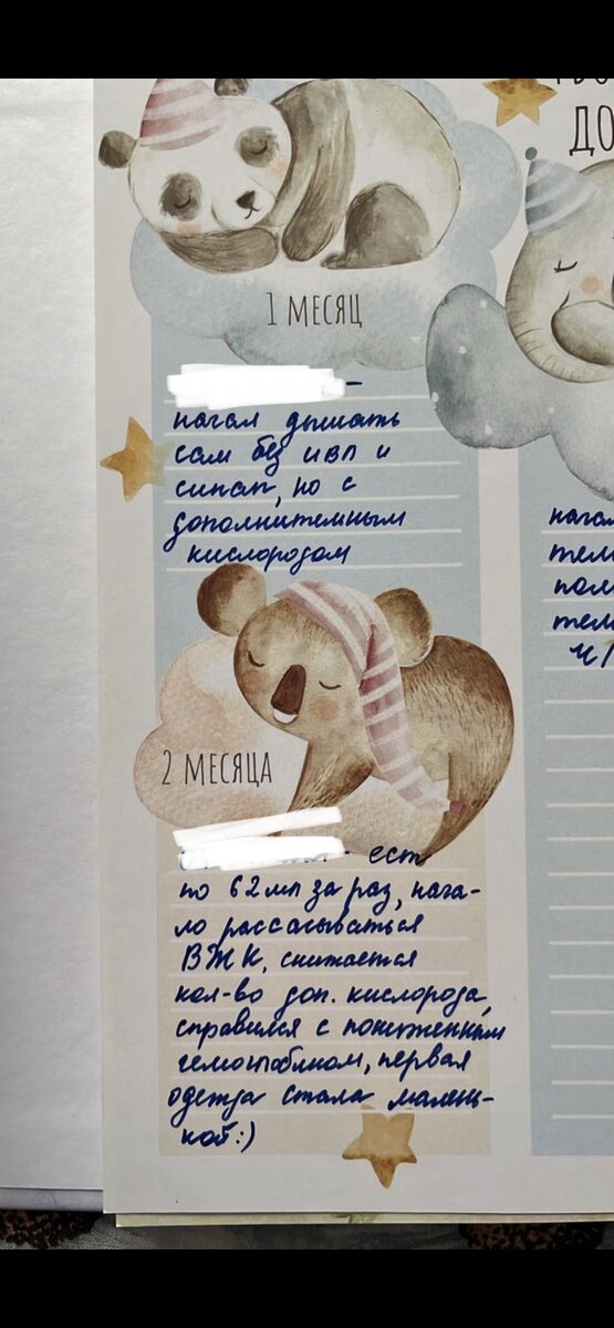 Я вела дневник его достижений 