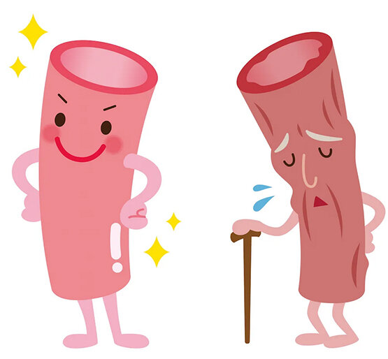 Какими будут наши сосуды, зависит только от нас