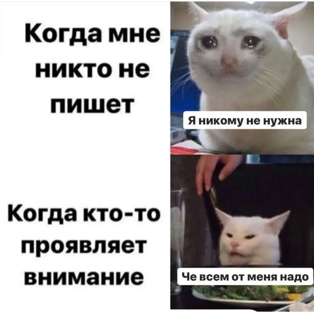 Мем взят из просторов Интернета