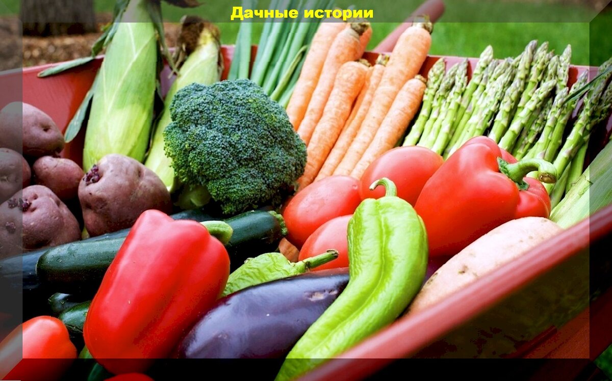 https://vk.com/photo-159774511_457254985
