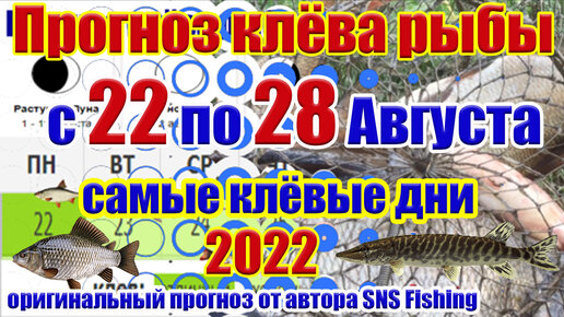 Прогноз клева рыбы на эту неделю с 22 по 28 Августа. Календарь рыбака на  неделю. Календарь клева рыбы. | Рыбалка SNS Fishing | Дзен