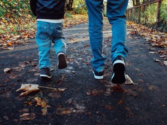     Фото: pxhere.com