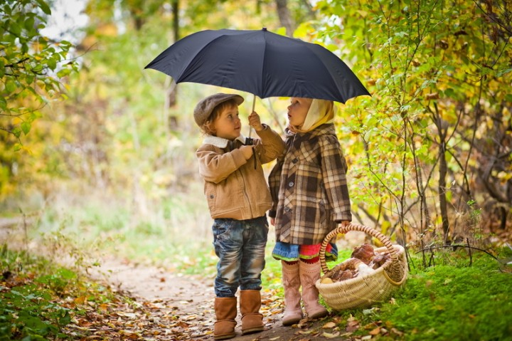 картинка из яндекса