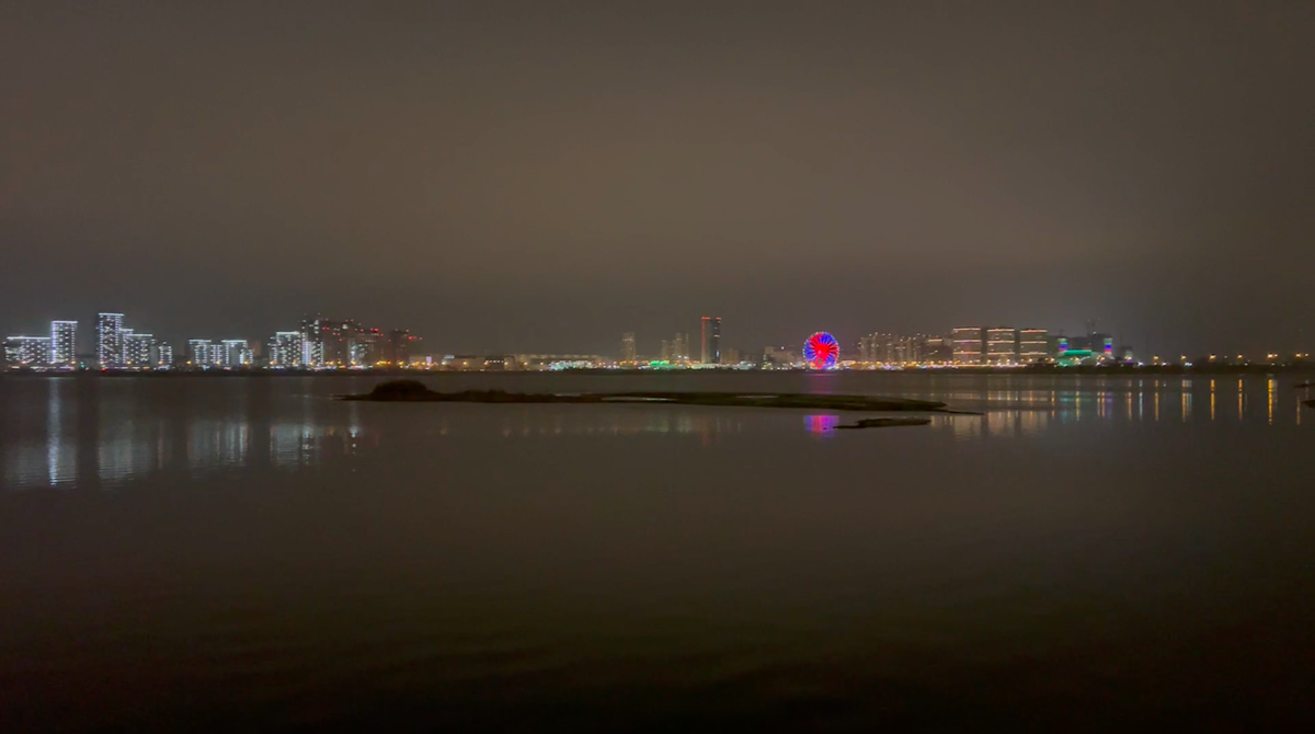 Путешествие собачников // Казань