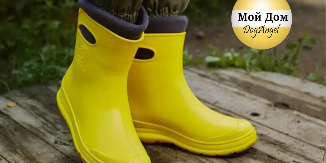 Возобновляю работу своего второго канала. Разбор первых удачных покупок на ВБ