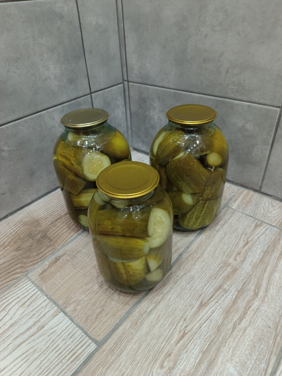 Мои огурчики