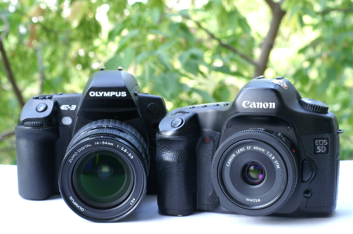 Olympus E-3 и Canon 5D. Фото выполнено на Konica Minolta 7D.