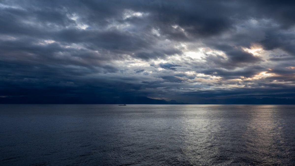    Фото: Unsplash Август Макаров