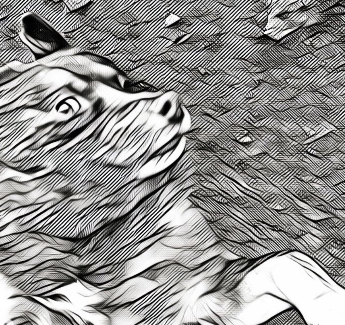 Доброта, любовь и забота.