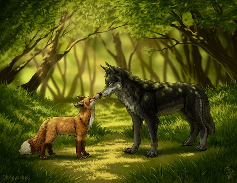 16. Лис да волк.