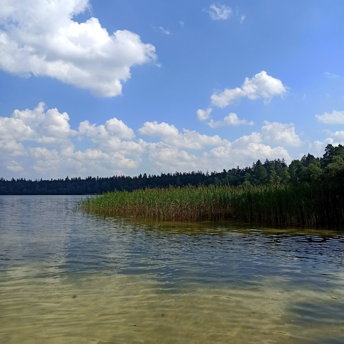Озеро Свитязь, Новогрудский берег. Фотография автора. 2023г.