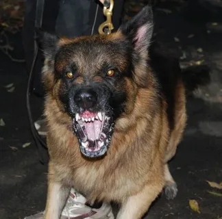 с просторов интернета для иллюстрации