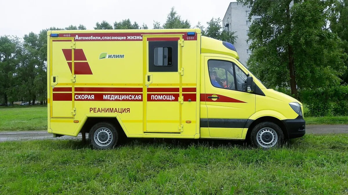 Фото: commons.wikimedia.org / Georg Pik