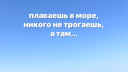 Громче сказки перед сном | красотка подкралась незаметно?? #Черноеморе # ...