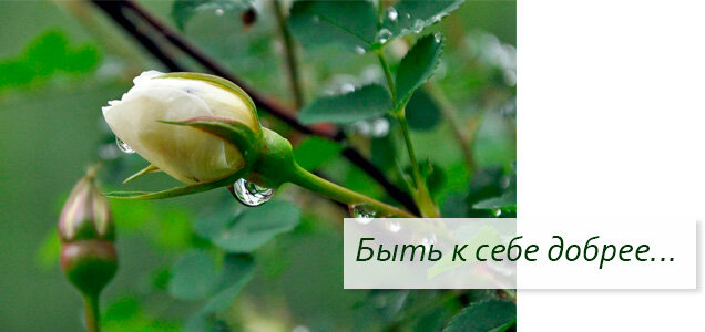 Что такое добрей к себе