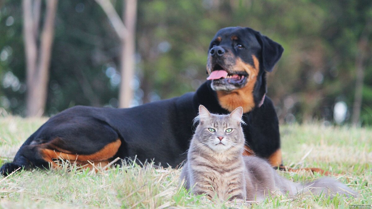 источник фото: https://clck.ru/35aqaT