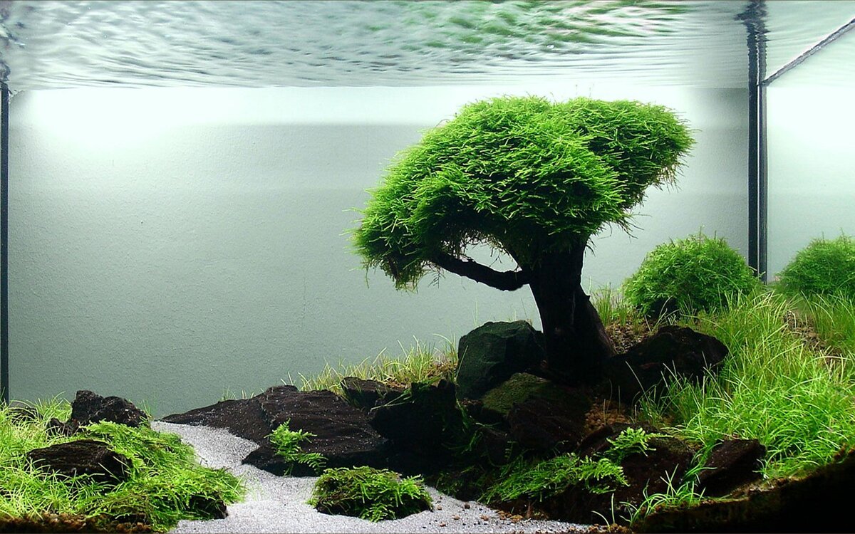 Или вот такая имитация одинокого дерева у дороги