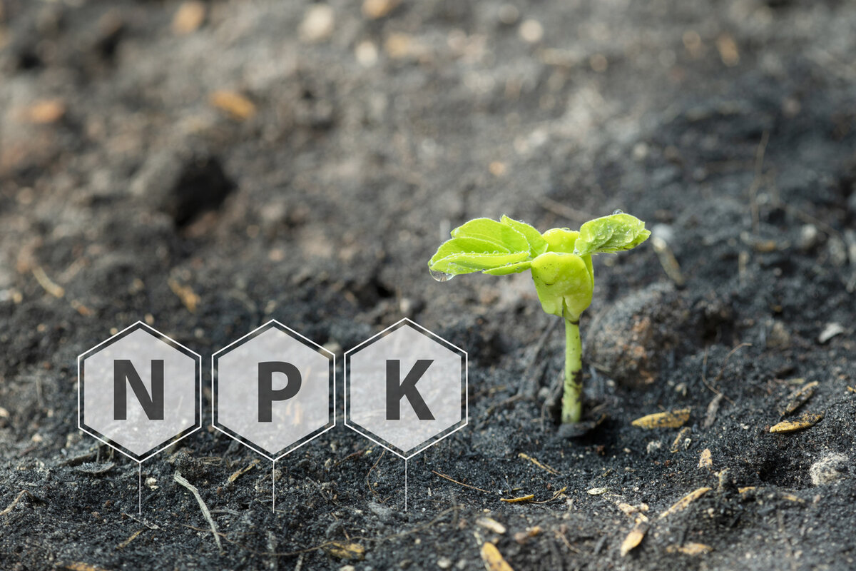    Третий архиважный элемент