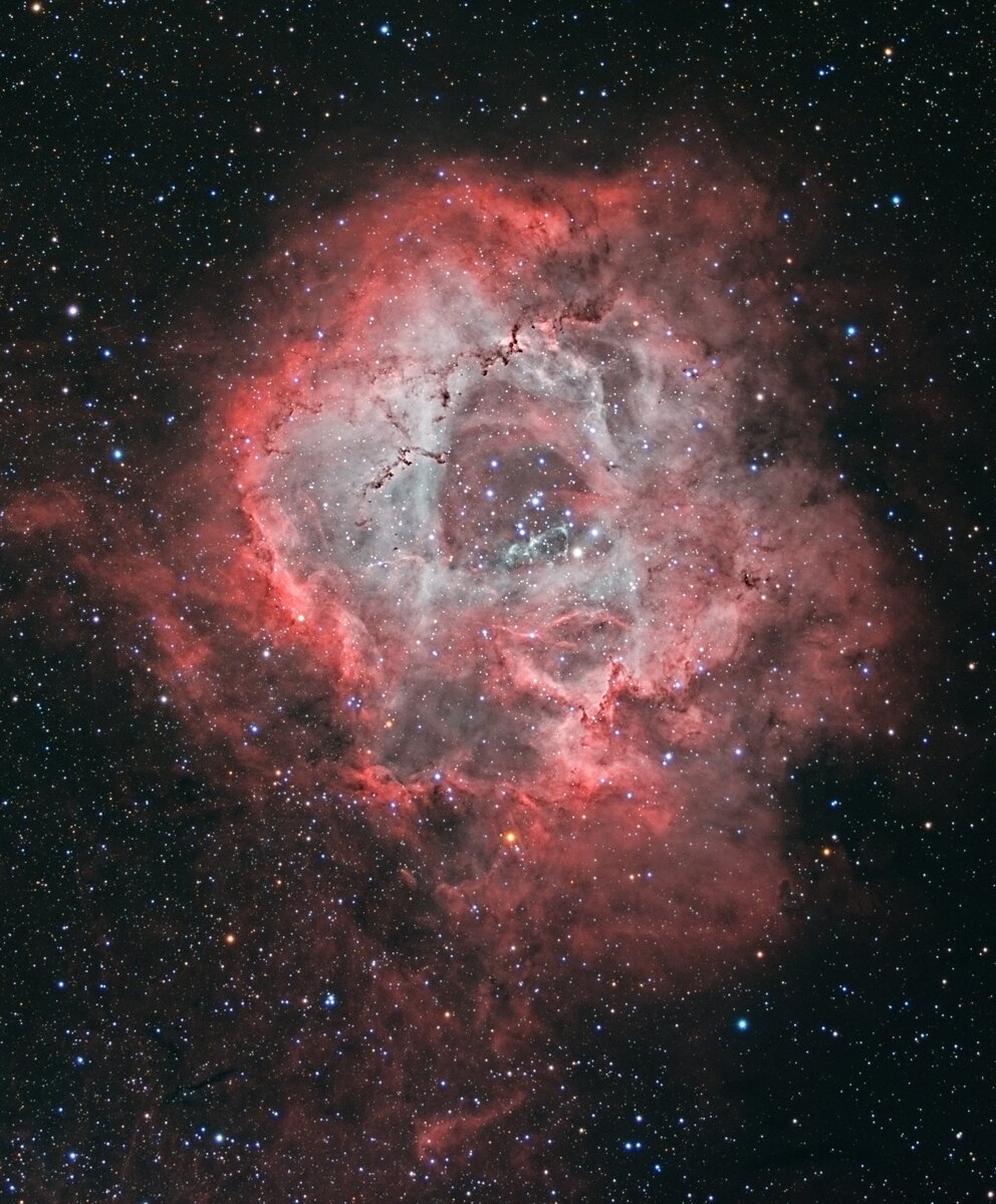 Туманность NGC 2237