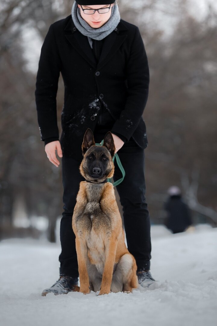 Фото из открытых источников интернета