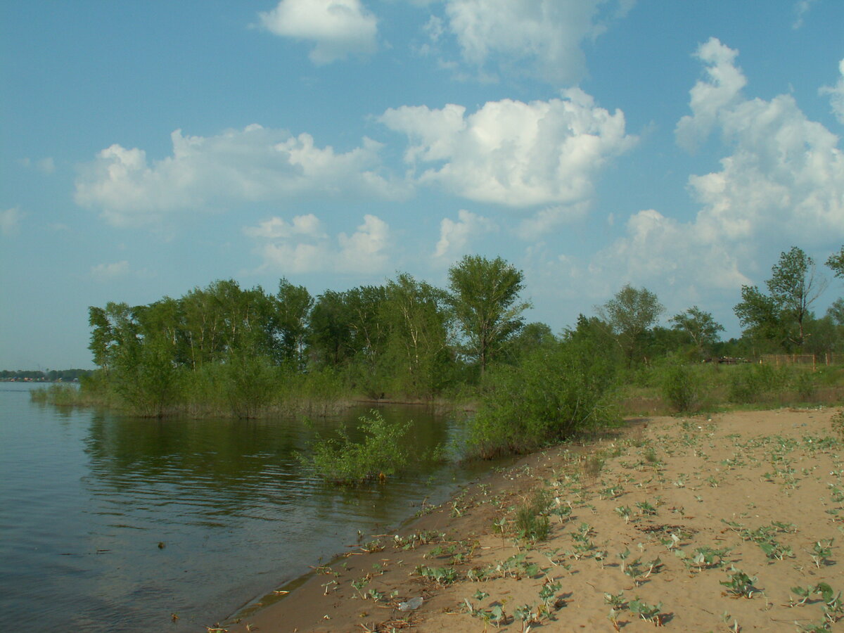 На Рождественской воложке