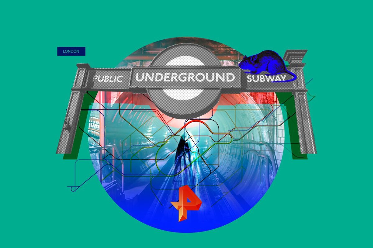 Эфир канала блокбастер. Канал блокбастер программа. Эфир канала блокбастер. Блокбастер hd канал. Блокбастер hd канал.
